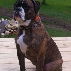 Meet your Posher, Tara